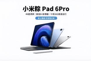 开云app登录入口官网